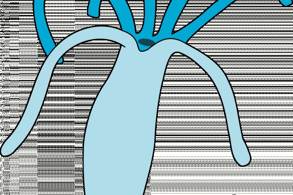 KRAB3 - AT-студия дизайна мебели